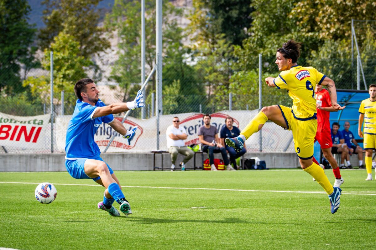 om mercato avenir viserait il
